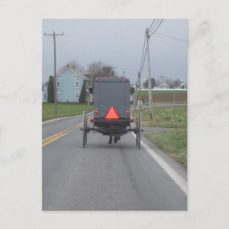 Cartão Postal Amish Horse & Buggy Postcard
