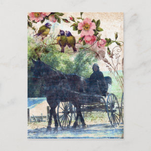 Cartão Postal Amish Horse e Buggy Birdie Textura
