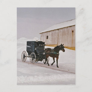 Cartão Postal Amish Horse e Buggy no Cartão-postal do inverno
