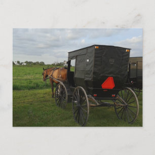 Cartão Postal Amish Horse e Buggy no Sunset