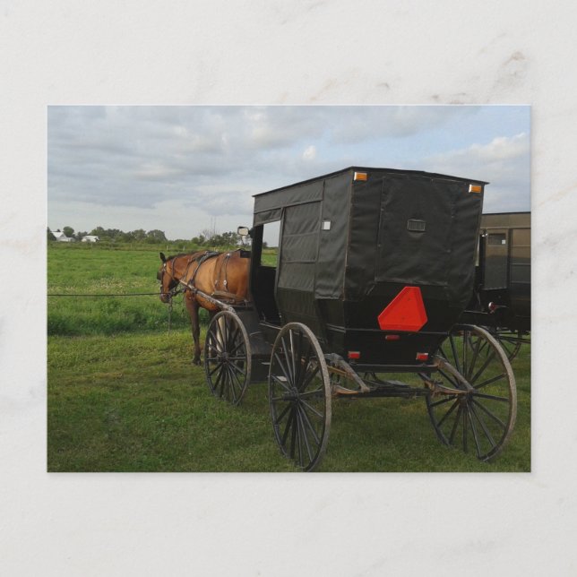 Cartão Postal Amish Horse e Buggy no Sunset (Frente)
