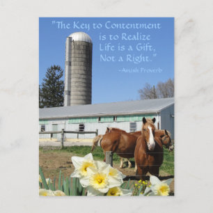 Cartão Postal Amish Postcard Life é um presente. Adicione Seu Te