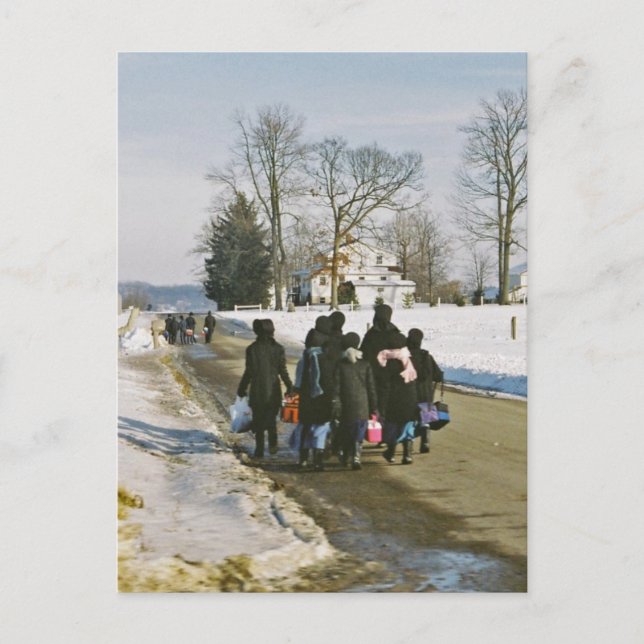 Cartão Postal Amish School Day Postcard (Frente)