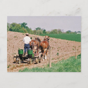 Cartão Postal Amish Seed Spreader
