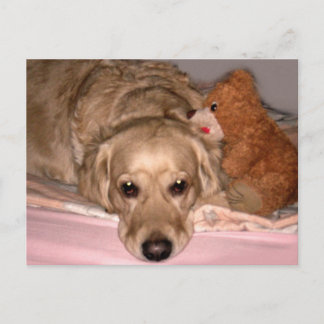 Cartão Postal Amizade