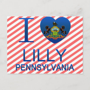 Cartão Postal Amo Lilly, PA
