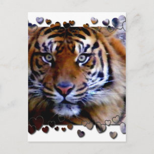 Cartão Postal Amo-te_