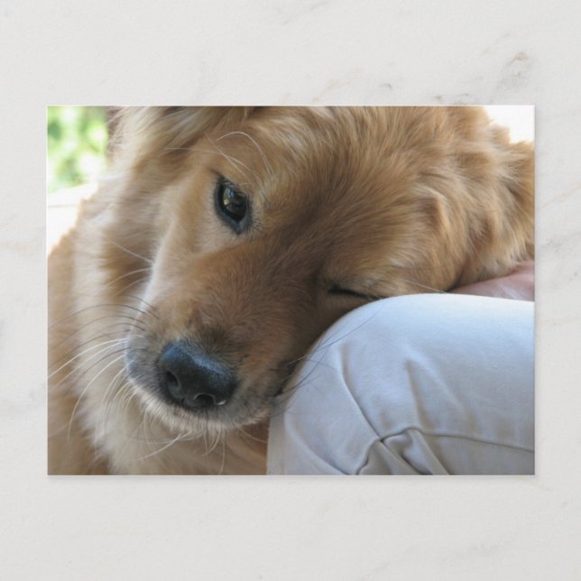 Cartão Postal Amor (Frente)