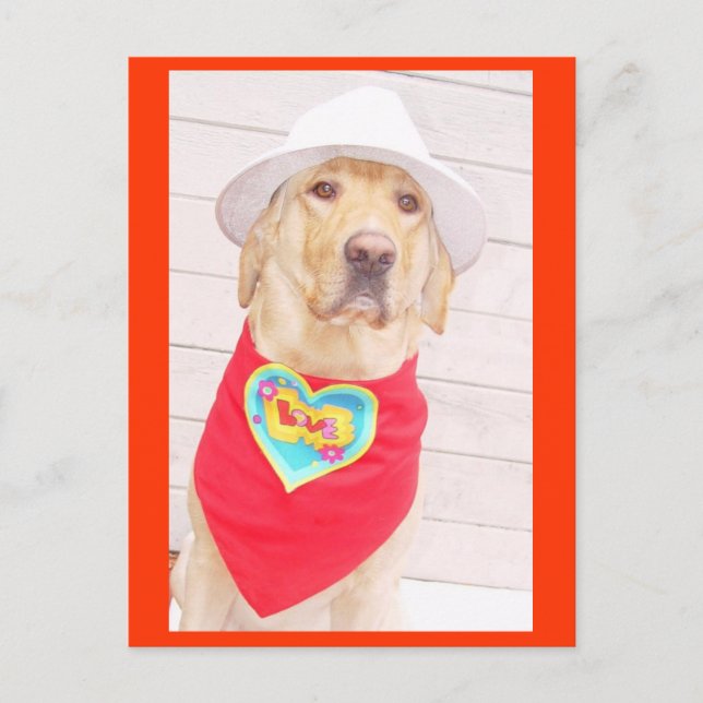 Cartão Postal Amor (Frente)