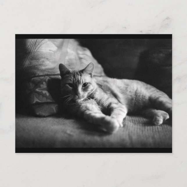 Cartão Postal Amor (Frente)