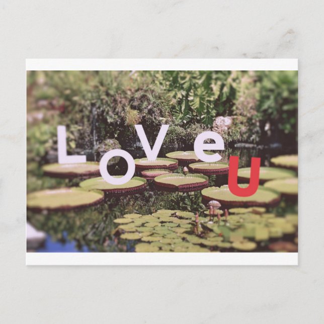 Cartão Postal Amor à Natureza (Frente)