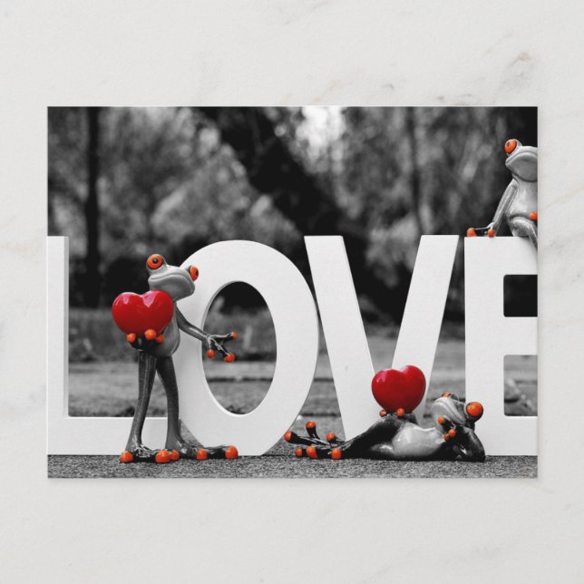 Cartão Postal amor ao sapo (Frente)