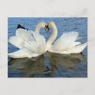Cartão Postal Amor Chaperoned do coração da cisne