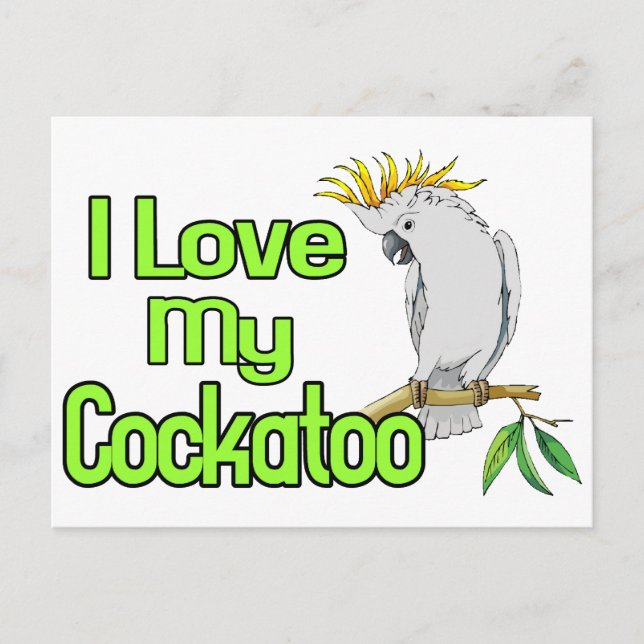 Cartão Postal Amor com Cockatoo (Frente)