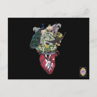 Cartão Postal Amor cresce