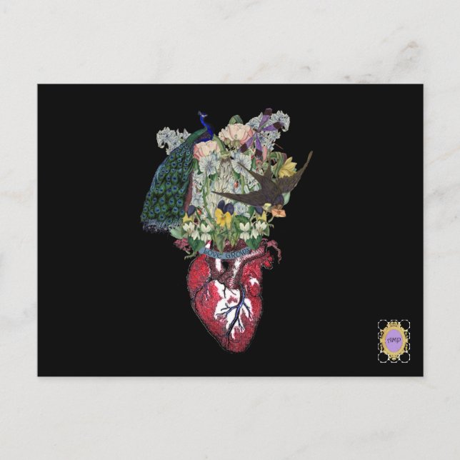 Cartão Postal Amor cresce (Frente)