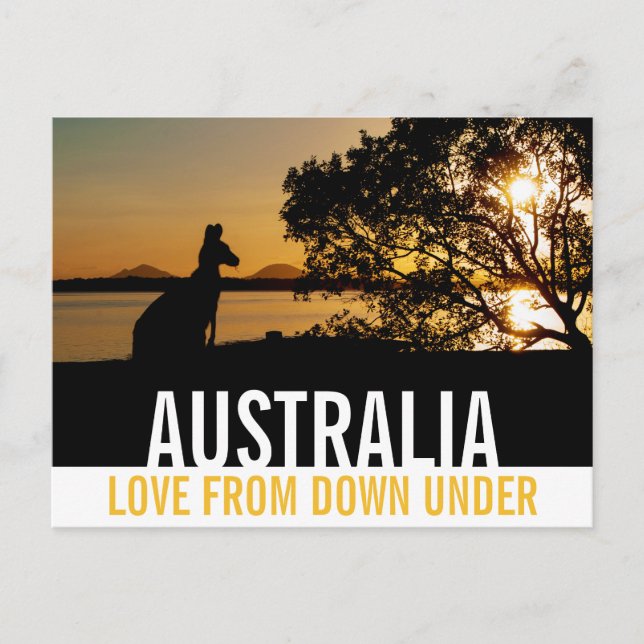 Cartão Postal Amor da Austrália Kangaroo Sunset (Frente)