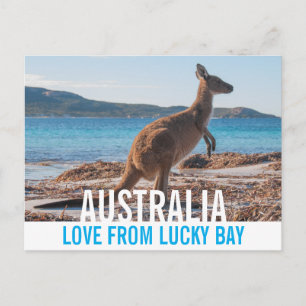 Cartão Postal Amor Da Foto Da Baía De Kangaroo Lucky, Da Austrál
