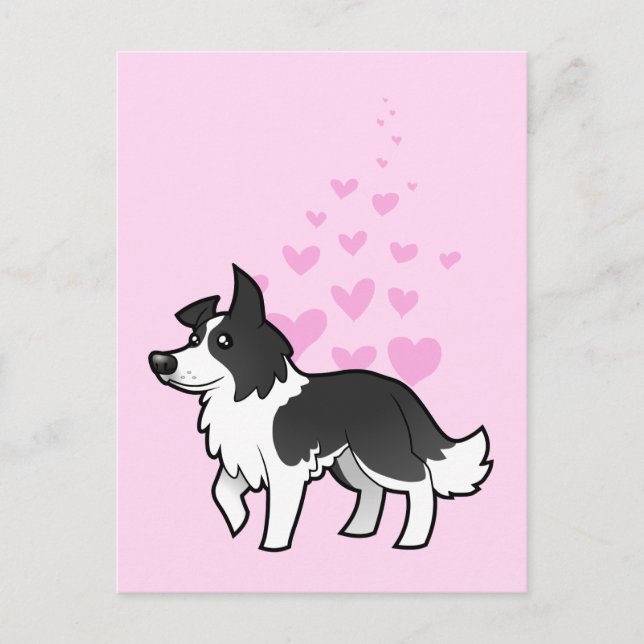 Cartão Postal Amor de Border Collie (Frente)