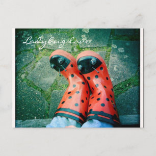 Cartão Postal Amor de damybug
