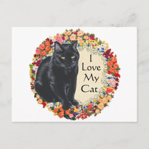 Cartão Postal Amor de Gata Preta