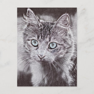 Cartão Postal Amor de Gatinho Gatinho Fofo com Olhos Azuis Lumin