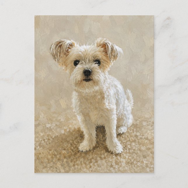 Cartão Postal Amor de Morkie (Frente)