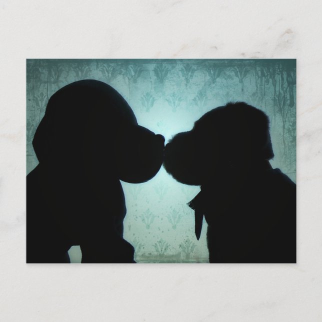 Cartão Postal Amor de papoila (Frente)