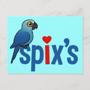Cartão Postal Amor de Spix