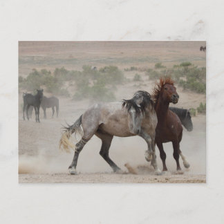 Cartão Postal Amor Difícil