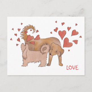 Cartão Postal Amor dos Cães