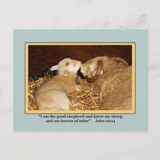 Cartão postal AMOR E PAZ (Frente)