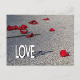 Cartão Postal AMOR e Rosa