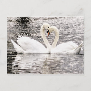 Cartão Postal Amor eterno