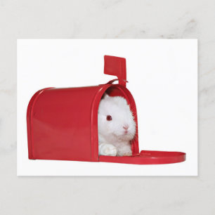 Cartão Postal Amor no correio