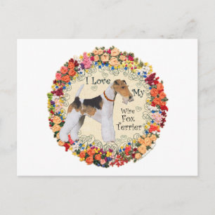 Cartão Postal Amor pelo Fox Terrier de Pelo de Arame