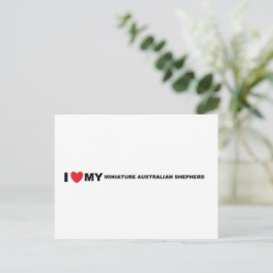 Cartão Postal amor pelo pastor australiano miniatura