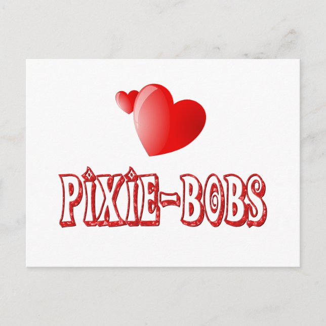 Cartão Postal Amor Pixie-Bob (Frente)