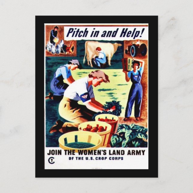 Cartão Postal Ampliar E Ajudar (Frente)