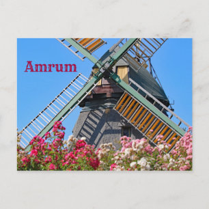 Cartão Postal Amrum Windmill, Nebel, Nordfriesland, Alemanha
