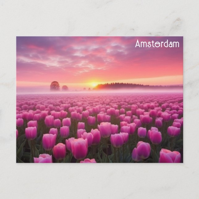 Cartão Postal Amsterdã Holanda Tulips Viagem Foto (Frente)