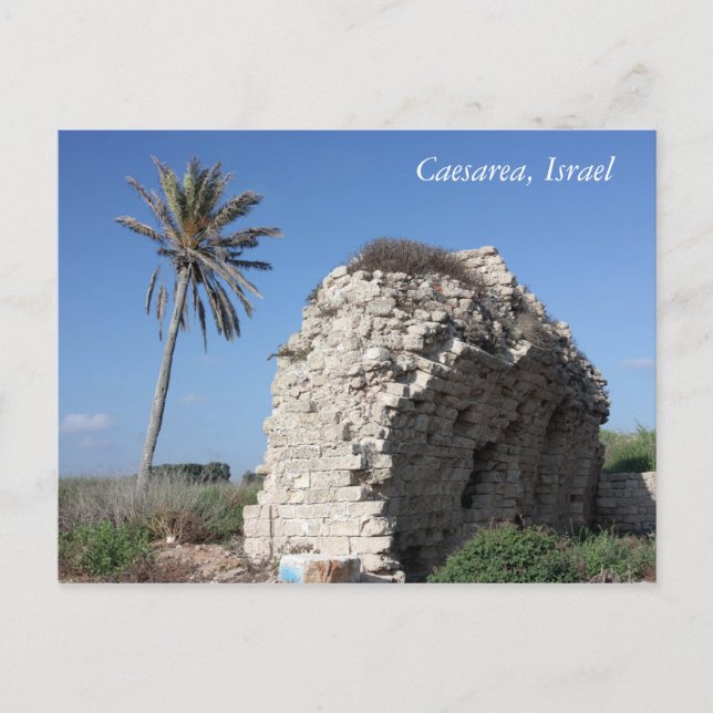 Cartão Postal An ancient wall with a Palm tree, Caesarea, Israel (Frente)