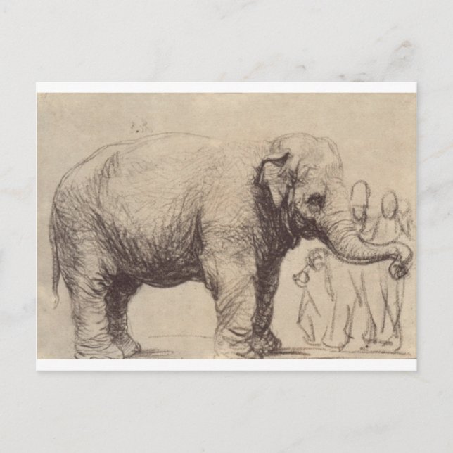 Cartão Postal An Elephant by Rembrandt (Frente)