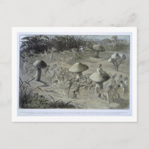 Cartão Postal An Elfin Dance by Night, illustration from 'In Fai