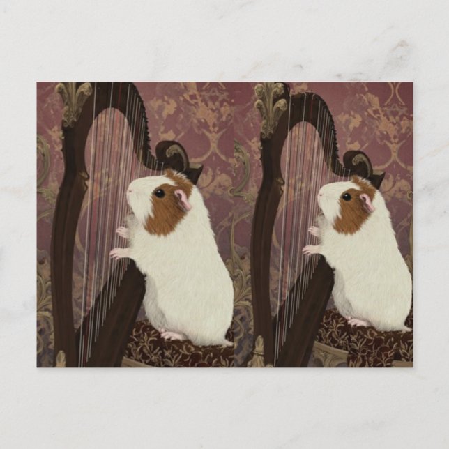 Cartão Postal An Evening Recital – Artistic Guinea Pig Postcard (Frente)