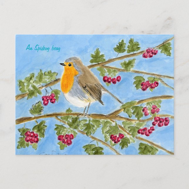 Cartão Postal An Spideog beag postcard (Frente)