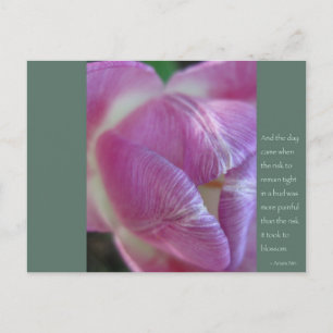 Cartão Postal Anais Nin Quote