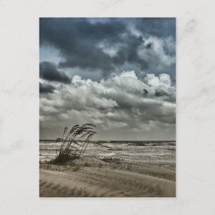 Cartão Postal Anastasia 3