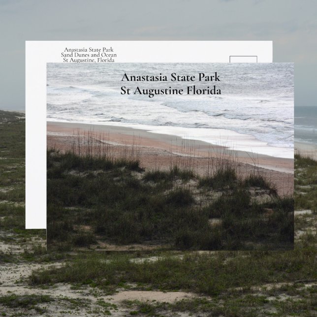 Cartão Postal Anastasia State Park Rua Augustine Florida Viagem (Criador carregado)