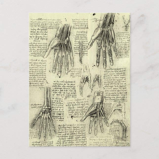 Cartão Postal Anatomia da Mão Humana de Leonardo da Vinci (Frente)